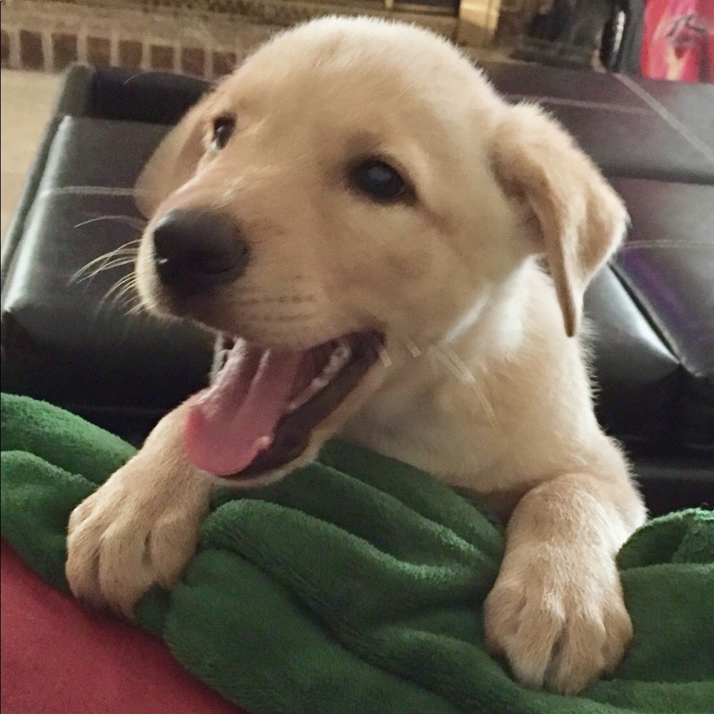 Meet your Posher, Jessica